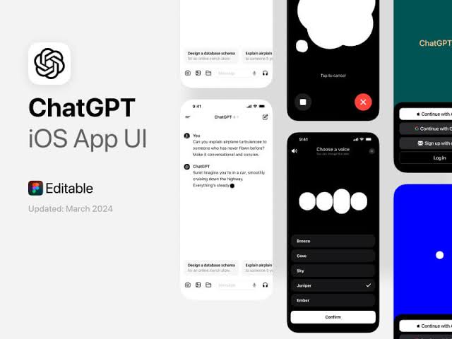 The mobile-optimized interface layout